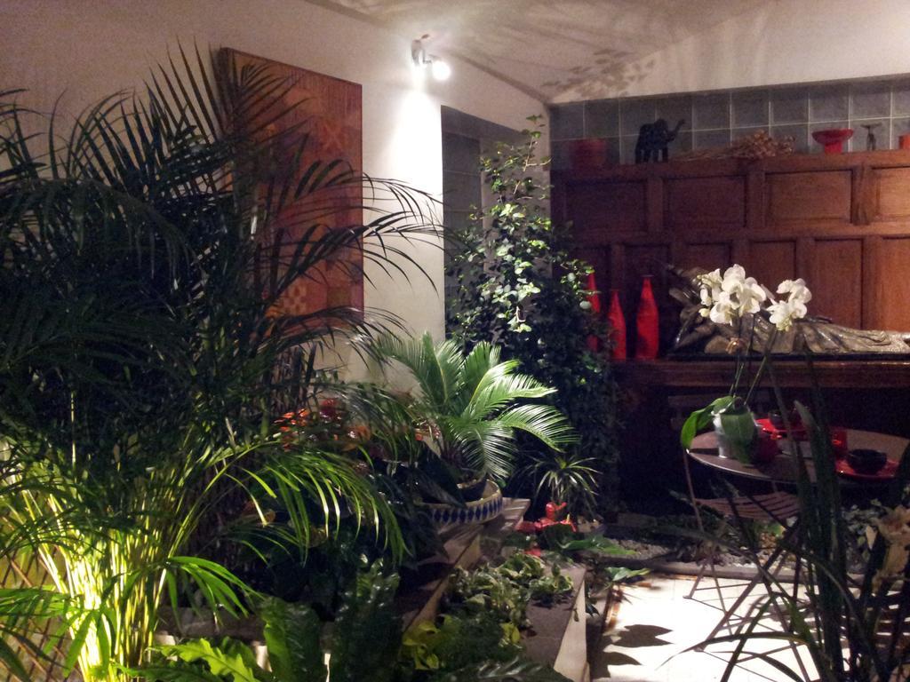Chambres D'Hotes Le Petit Siam : Le Calme En Centre Ville Clermont-Ferrand Exterior foto